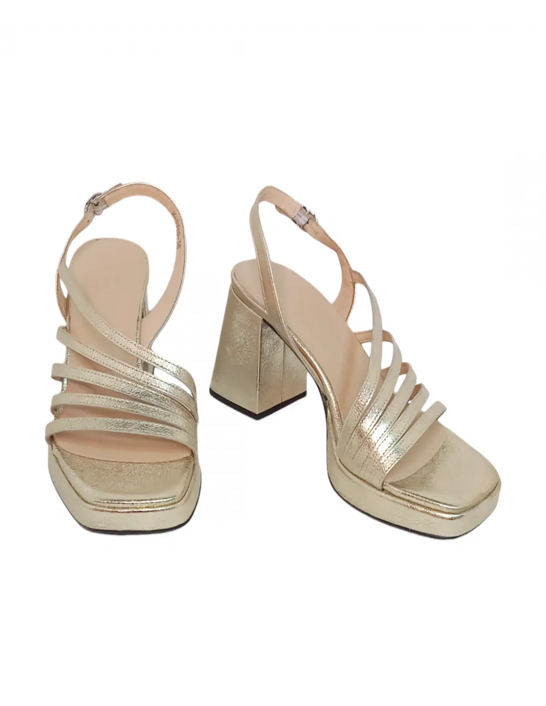 WONDERS M-5310 GARLI